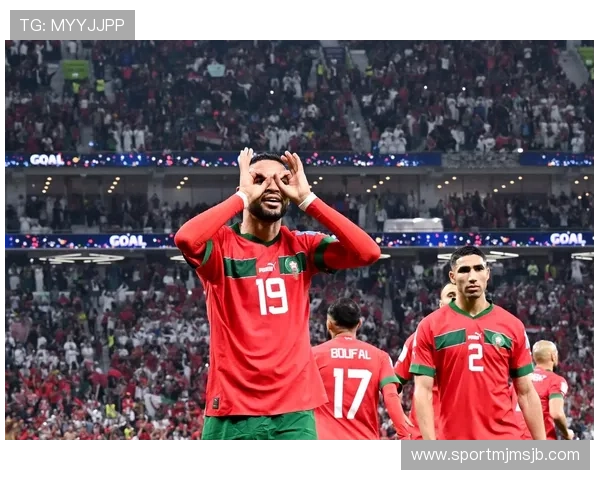 卡塔尔世界杯死亡之组历史回顾与未来展望，探讨这些强队相遇背后的战略意义