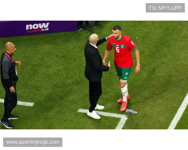 最新阿根廷与法国世界杯决赛回放资源免费下载与在线观看